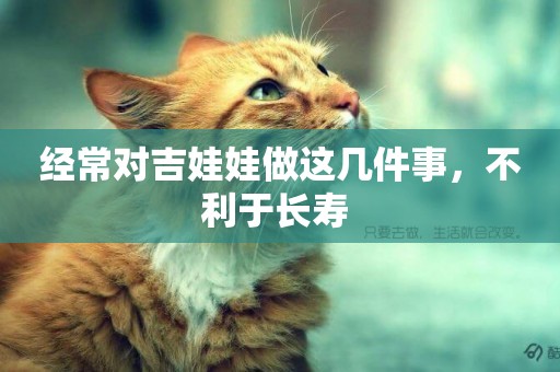 經常對吉娃娃做這幾件事，不利于長壽 