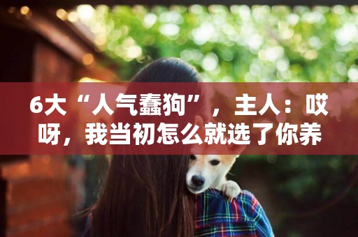 6大“人氣蠢狗”，主人：哎呀，我當初怎么就選了你養 