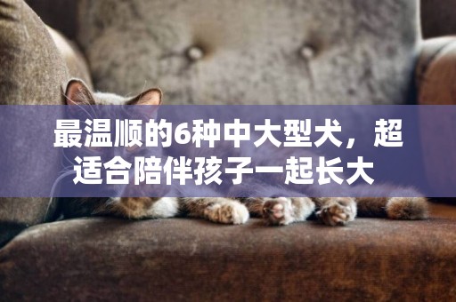 最溫順的6種中大型犬，超適合陪伴孩子一起長大 
