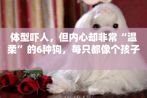 體型嚇人，但內心卻非常“溫柔”的6種狗，每只都像個孩子 