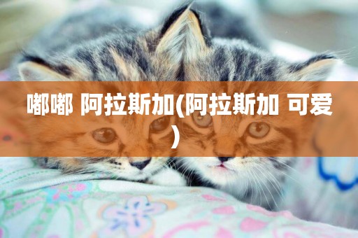 嘟嘟 阿拉斯加(阿拉斯加 可愛) 