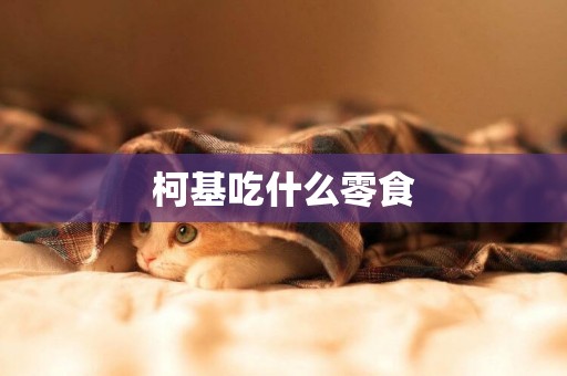柯基吃什么零食