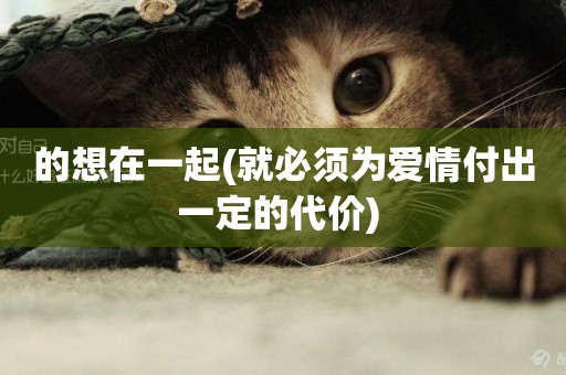 的想在一起(就必須為愛情付出一定的代價) 