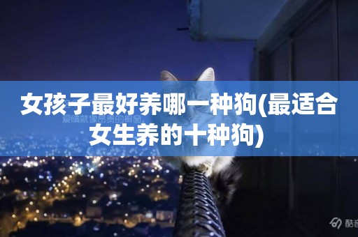 女孩子最好養哪一種狗(最適合女生養的十種狗) 