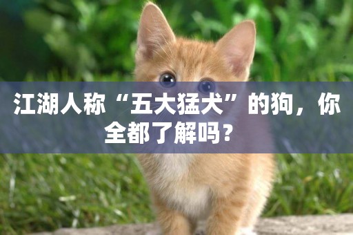 江湖人稱“五大猛犬”的狗，你全都了解嗎？ 