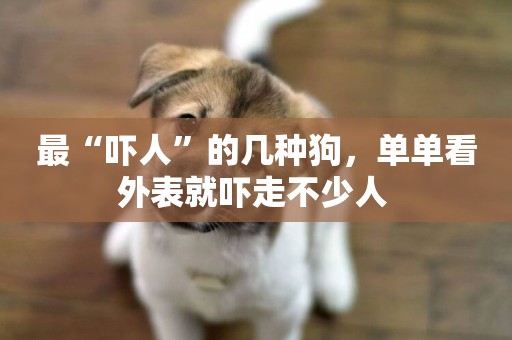 最“嚇人”的幾種狗，單單看外表就嚇走不少人 