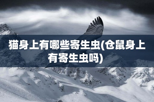 貓身上有哪些寄生蟲(倉鼠身上有寄生蟲嗎) 