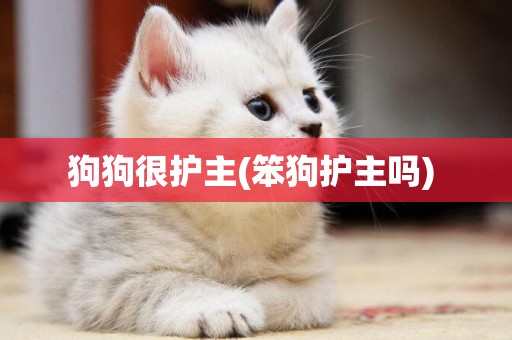 狗狗很護主(笨狗護主嗎) 