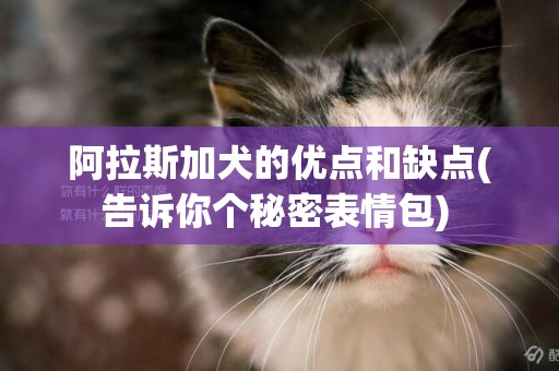 阿拉斯加犬的優點和缺點(告訴你個秘密表情包) 