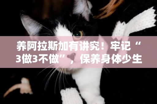 養阿拉斯加有講究！牢記“3做3不做”，保養身體少生病 