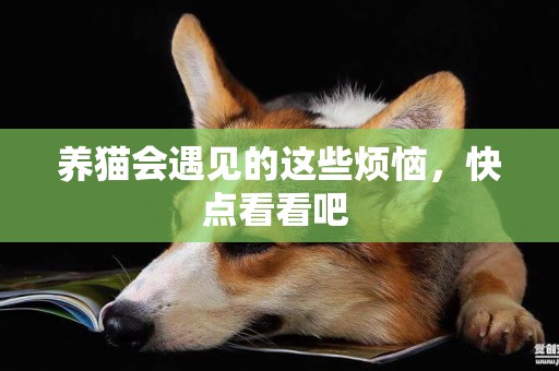 養貓會遇見的這些煩惱，快點看看吧 