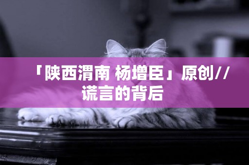 「陜西渭南 楊增臣」原創//謊言的背后 