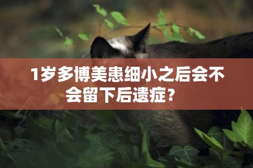 1歲多博美患細小之后會不會留下后遺癥？ 