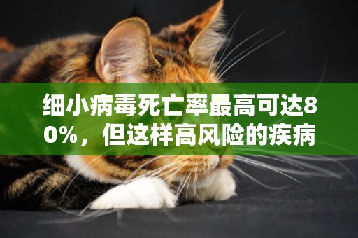 細小病毒死亡率最高可達80%，但這樣高風險的疾病并不會傳染給人 
