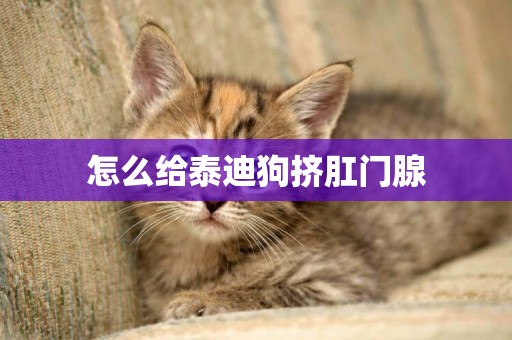 怎么給泰迪狗擠肛門腺
