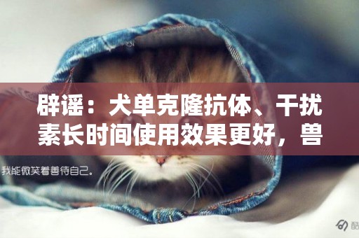 辟謠：犬單克隆抗體、干擾素長時間使用效果更好，獸醫：別浪費錢 
