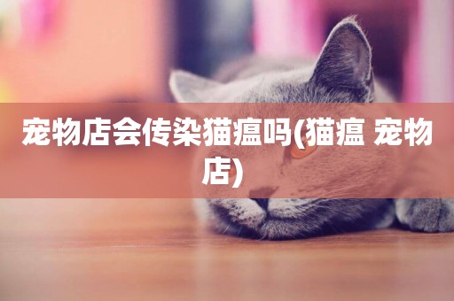 寵物店會傳染貓瘟嗎(貓瘟 寵物店) 