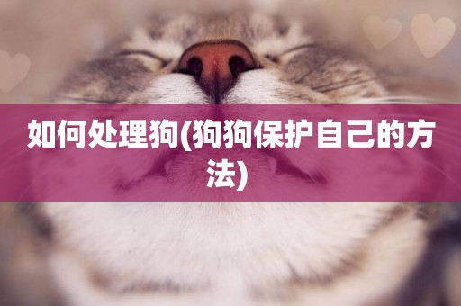 如何處理狗(狗狗保護自己的方法) 