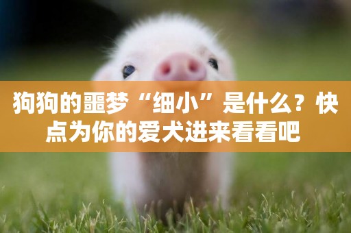 狗狗的噩夢“細小”是什么？快點為你的愛犬進來看看吧 