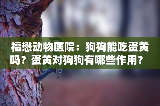 福懋動物醫院：狗狗能吃蛋黃嗎？蛋黃對狗狗有哪些作用？ 