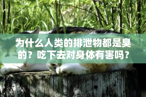 為什么人類的排泄物都是臭的？吃下去對身體有害嗎？有人曾試過 