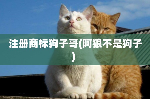 注冊商標狗子哥(阿狼不是狗子) 