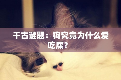 千古謎題：狗究竟為什么愛吃屎？ 