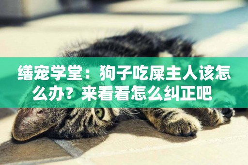 繕寵學堂：狗子吃屎主人該怎么辦？來看看怎么糾正吧 