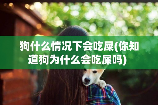 狗什么情況下會吃屎(你知道狗為什么會吃屎嗎) 