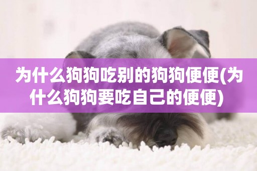 為什么狗狗吃別的狗狗便便(為什么狗狗要吃自己的便便) 