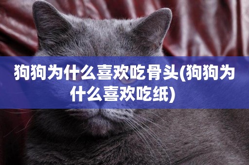 狗狗為什么喜歡吃骨頭(狗狗為什么喜歡吃紙) 