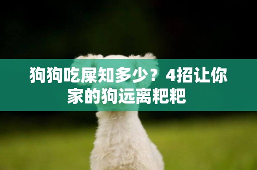 狗狗吃屎知多少？4招讓你家的狗遠離粑粑 
