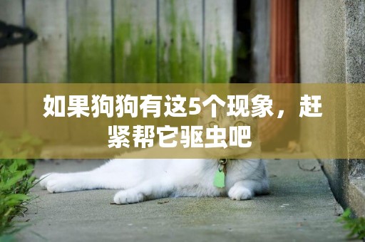 如果狗狗有這5個現象，趕緊幫它驅蟲吧 