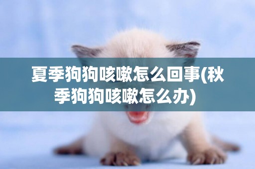 夏季狗狗咳嗽怎么回事(秋季狗狗咳嗽怎么辦) 