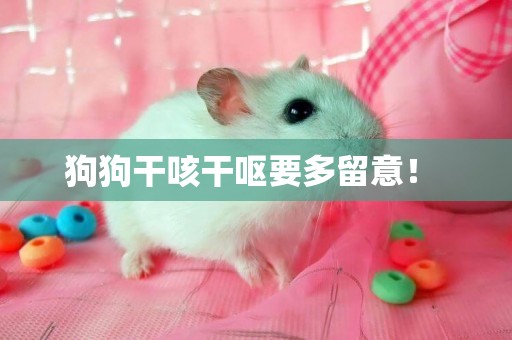狗狗干咳干嘔要多留意！ 