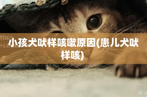 小孩犬吠樣咳嗽原因(患兒犬吠樣咳) 