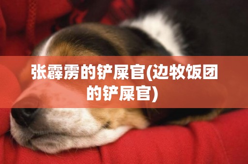 張霹靂的鏟屎官(邊牧飯團的鏟屎官) 