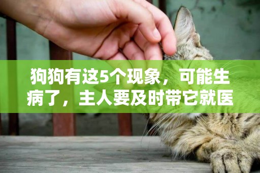狗狗有這5個現象，可能生病了，主人要及時帶它就醫哦！ 