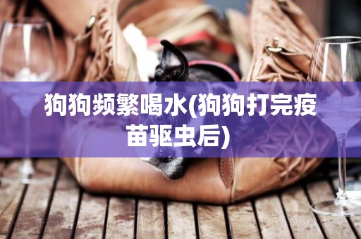 狗狗頻繁喝水(狗狗打完疫苗驅蟲后) 