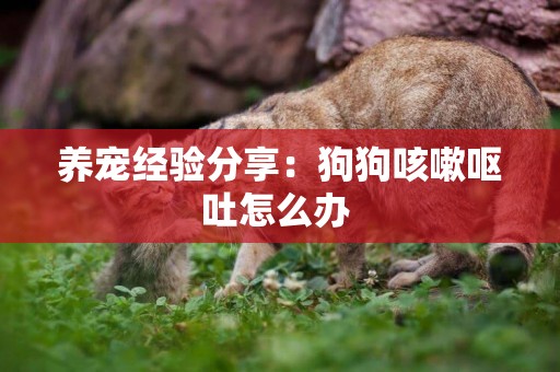 養寵經驗分享：狗狗咳嗽嘔吐怎么辦 