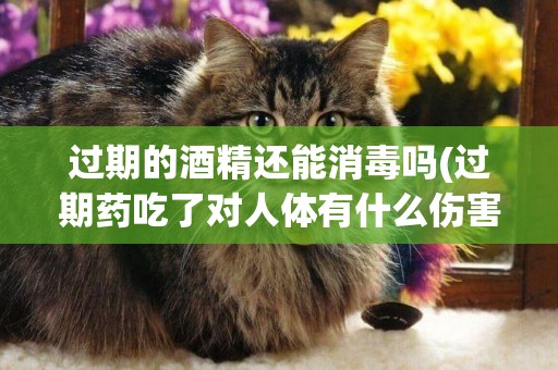 過期的酒精還能消毒嗎(過期藥吃了對人體有什么傷害) 