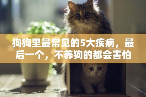 狗狗里最常見的5大疾病，最后一個，不養狗的都會害怕 