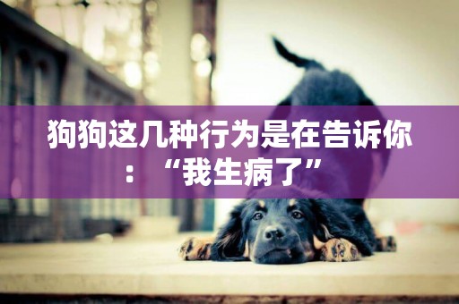 狗狗這幾種行為是在告訴你：“我生病了” 