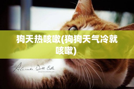 狗天熱咳嗽(狗狗天氣冷就咳嗽) 
