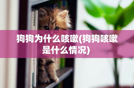 狗狗為什么咳嗽(狗狗咳嗽是什么情況) 