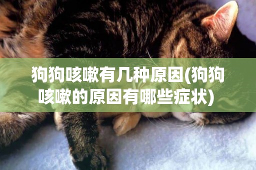 狗狗咳嗽有幾種原因(狗狗咳嗽的原因有哪些癥狀) 