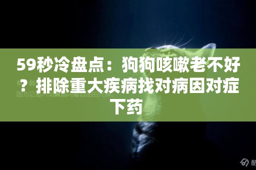 59秒冷盤點：狗狗咳嗽老不好？排除重大疾病找對病因對癥下藥 