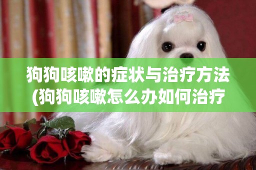 狗狗咳嗽的癥狀與治療方法(狗狗咳嗽怎么辦如何治療) 