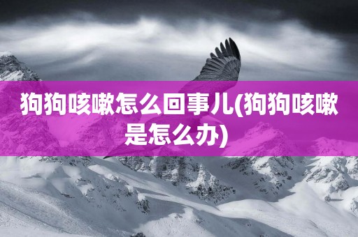 狗狗咳嗽怎么回事兒(狗狗咳嗽是怎么辦) 