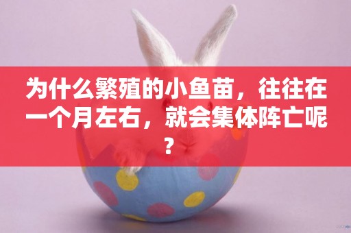 為什么繁殖的小魚苗，往往在一個月左右，就會集體陣亡呢？ 
